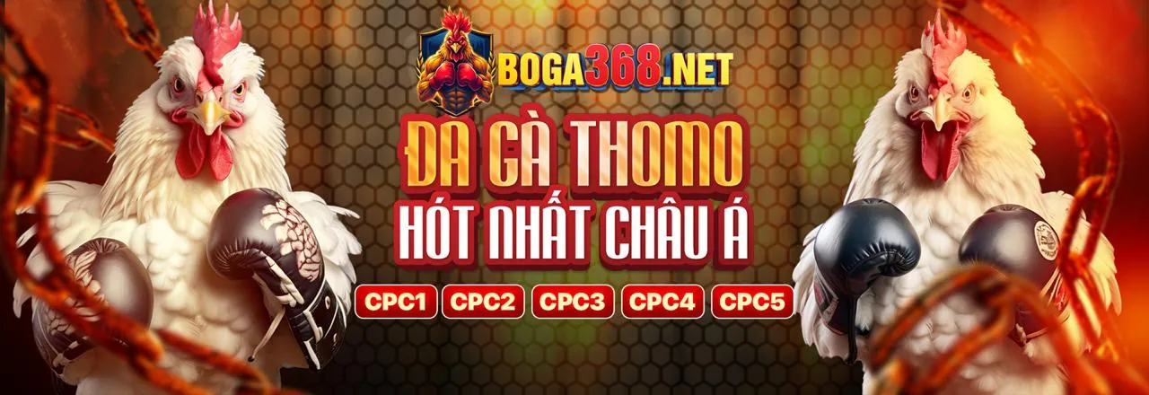 Trường gà trực tuyến sôi động trên ứng dụng 888casino